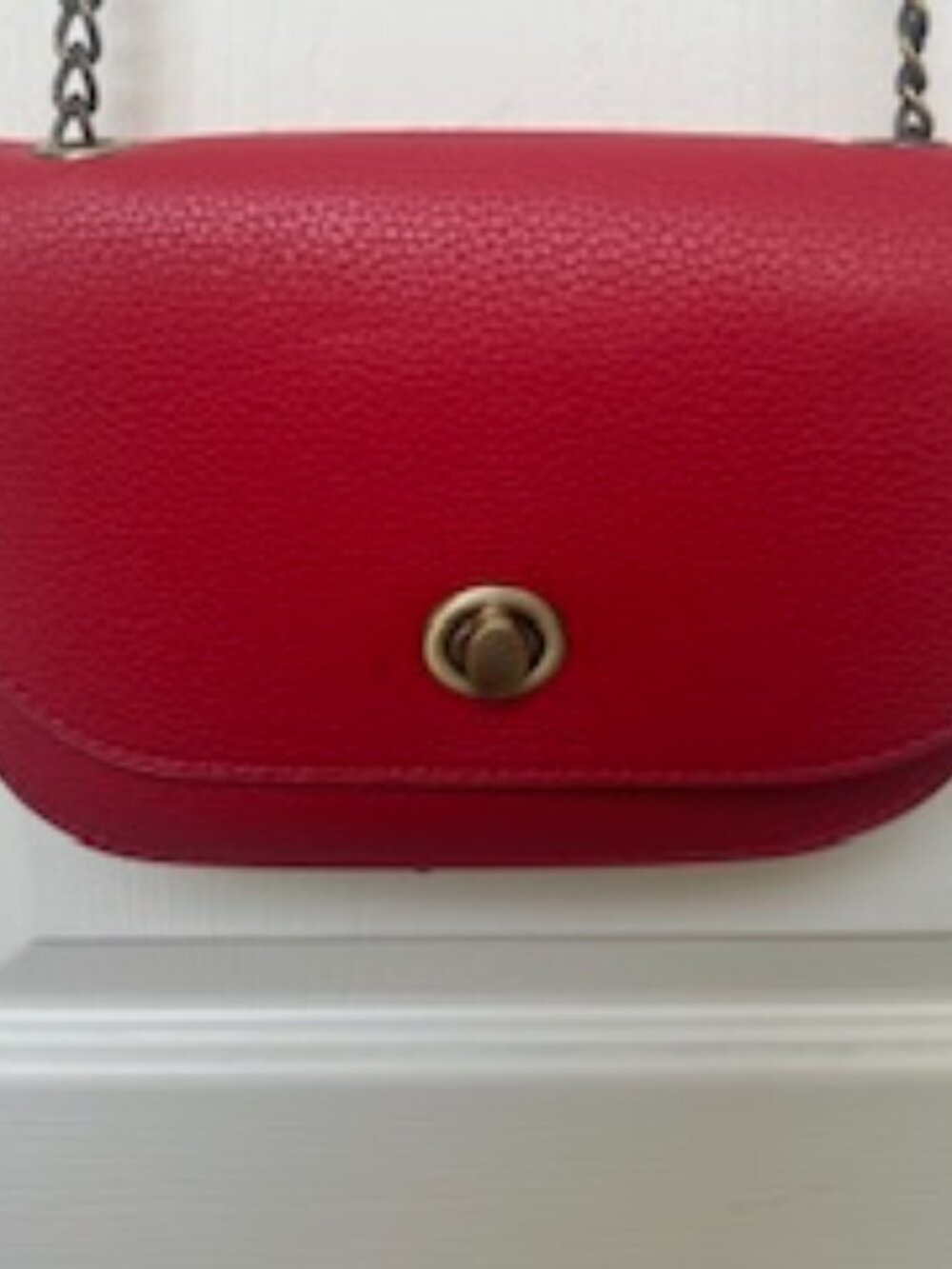 Anthropologie Red Leather Crossbody Bag NWT